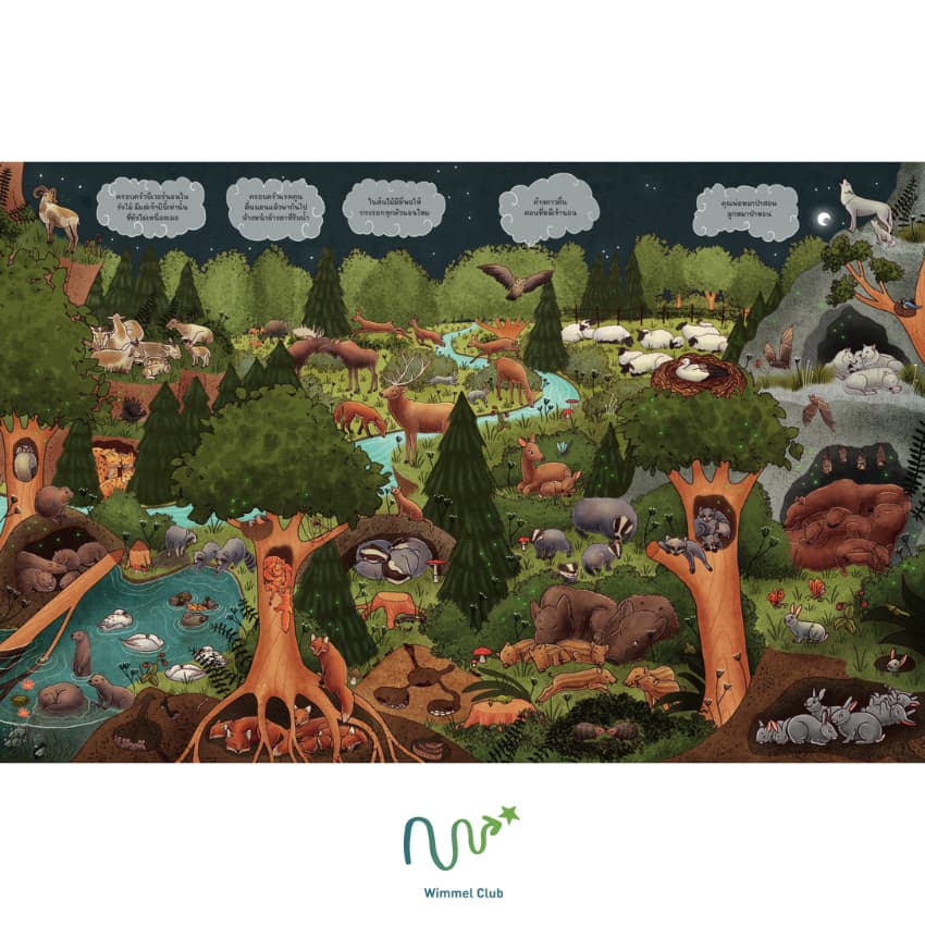 Wimmel Club หนังสือสุดวุ่น ท่องโลกในยามค่ำคืน | หนังสือวิมเมล ค้นหาและเล่าเรื่อง | บอร์ดบุ๊ค รูปที่ 5