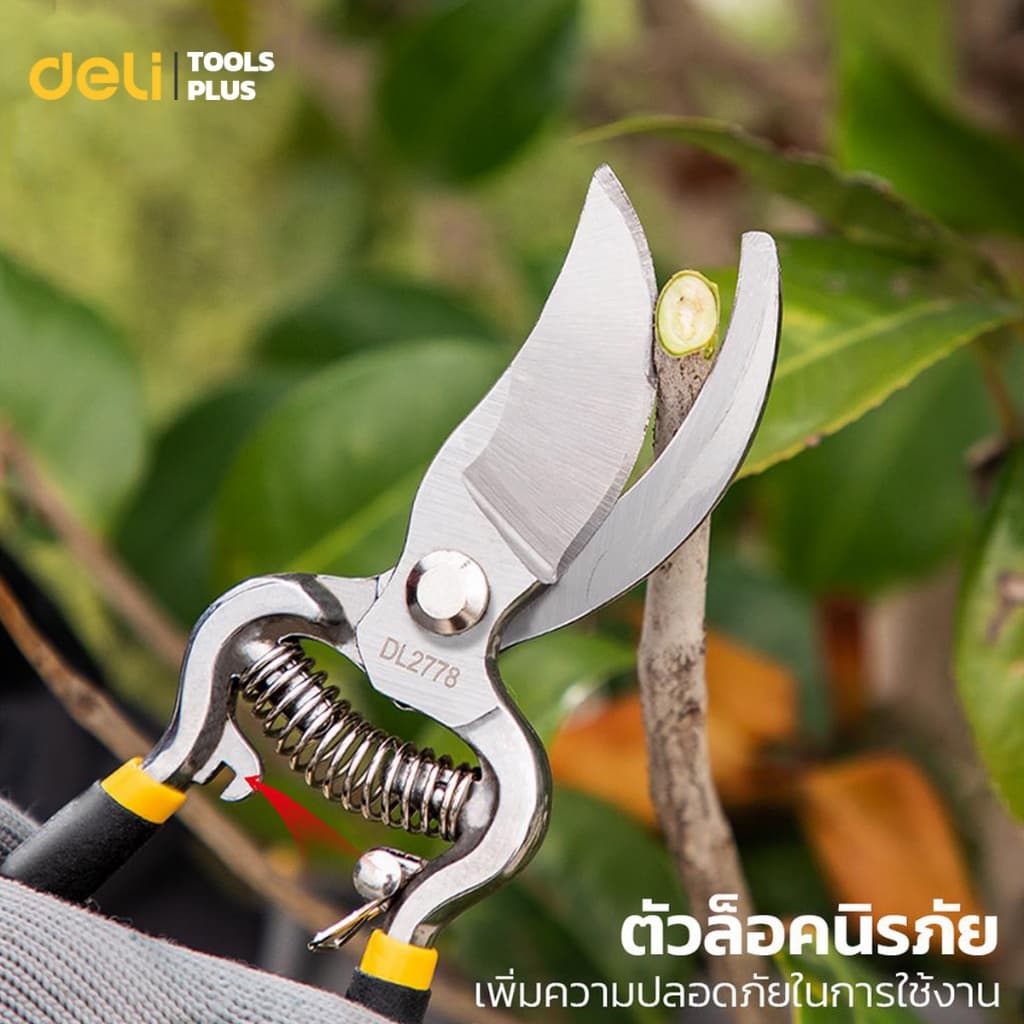 Deli กรรไกรตัดกิ่งไม้ กรรไกรตัดกิ่ง กรรไกรทำสวน 8 นิ้ว ใบมีดคม มีสปริงคืนตัว ทนทาน Pruning Shears รูปที่ 4