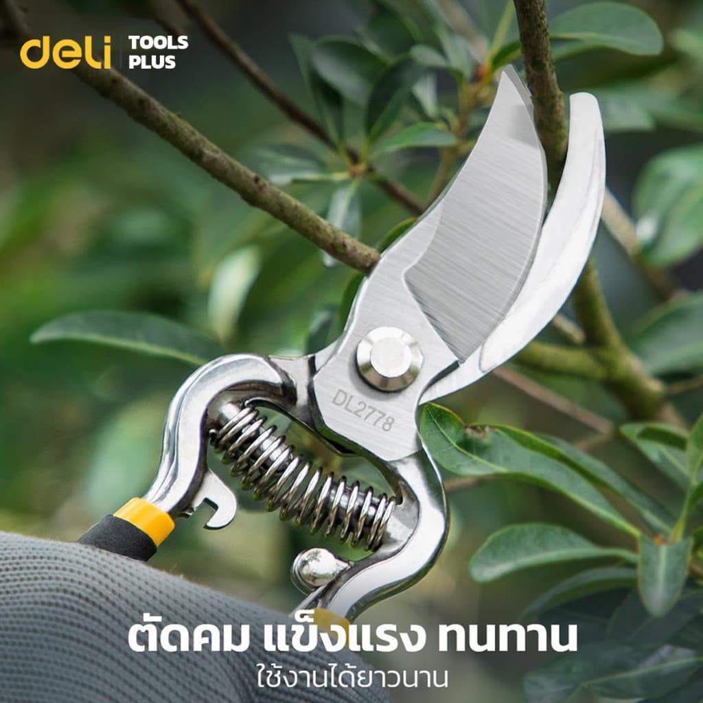 Deli กรรไกรตัดกิ่งไม้ กรรไกรตัดกิ่ง กรรไกรทำสวน 8 นิ้ว ใบมีดคม มีสปริงคืนตัว ทนทาน Pruning Shears รูปที่ 2
