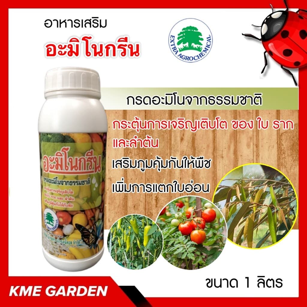 อาหารเสริม อะมิโนกรีน ขนาด 1 ลิตร เร่งต้น เร่งใบ บำรุงต้น เพิ่มการแตกใบอ่อน กรดอะมิโน ยอดใหม่โตไว สมบูรณ์ แข็ง อาหารเส รูปที่ 3
