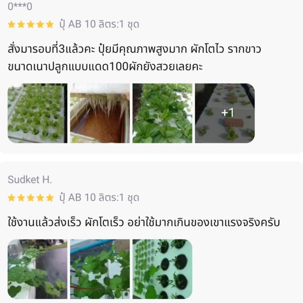 ปุ๋ย AB ชุด 20ลิตร เข้มข้นพลังม้า ผักไฮโดรโปนิกส์ทั้งน้ำวนน้ำนิ่งและพ่นทางใบพืชทุกชนิด แถมผงเร่งรากขาวยาว ปุ๋ยแห้งผสมเอง รูปที่ 4