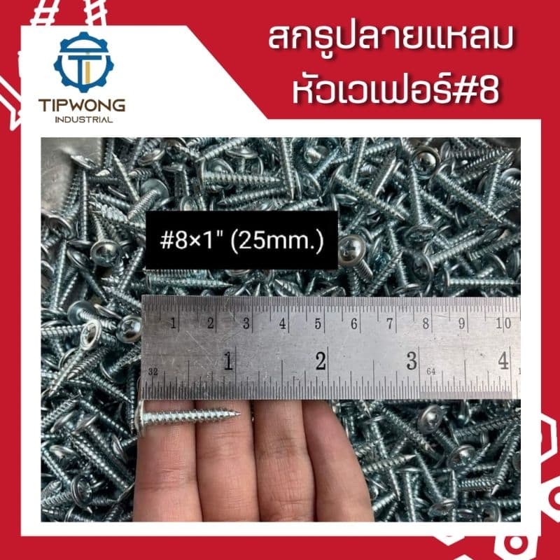 สกรูปลายแหลม หัวเวเฟอร์ชุบขาว #8 รูปที่ 3