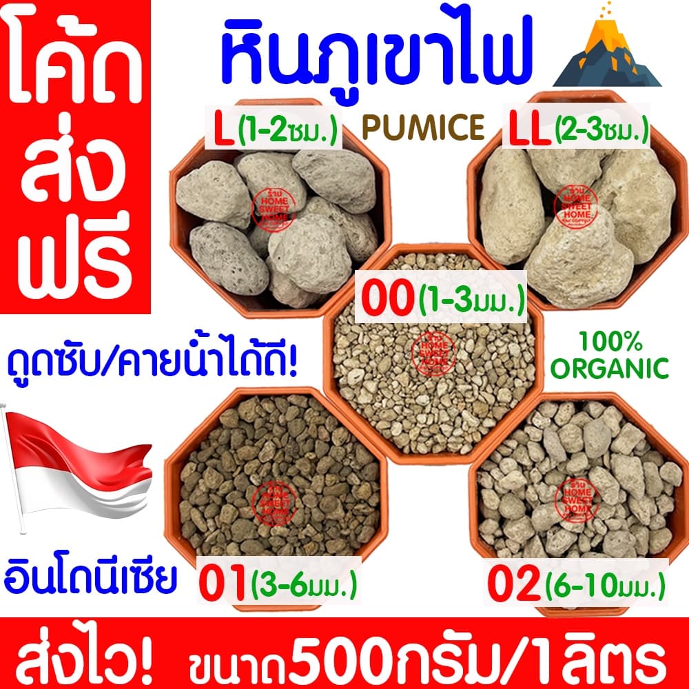 *โค้ด * หินภูเขาไฟ 500กรัม/1L 00/01/02/L/LL เพิ่มความโปร่งให้ดิน หินพัมมิส Pumice วัสดุปลูกผสมดิน กระถาง outlet รูปที่ 1