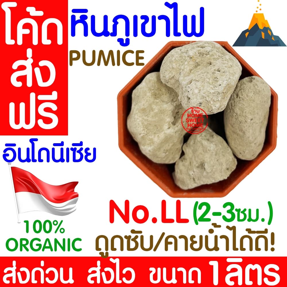 *โค้ด * หินภูเขาไฟ 500กรัม/1L 00/01/02/L/LL เพิ่มความโปร่งให้ดิน หินพัมมิส Pumice วัสดุปลูกผสมดิน กระถาง outlet รูปที่ 6