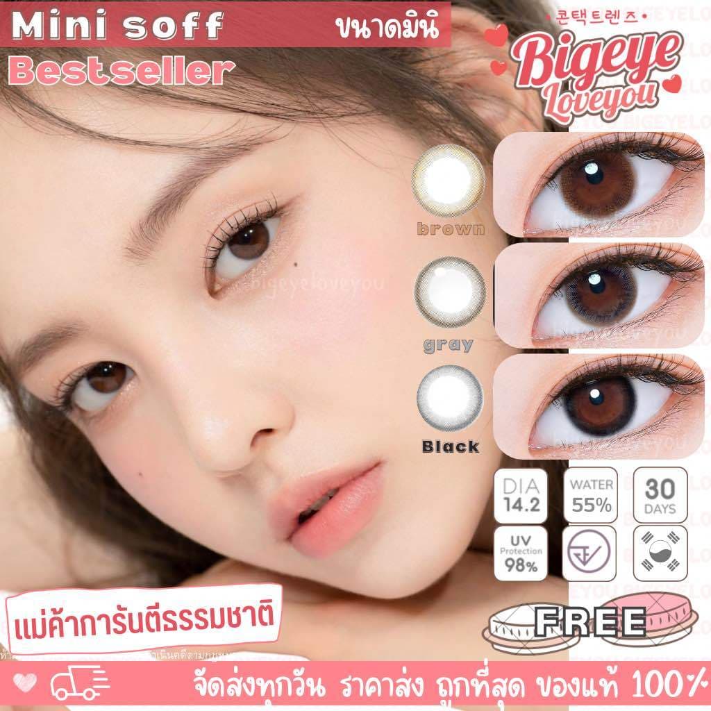 คอนแทคเลนส์ Mini Soff Brown / Gray / Black ขนาดมินิ รูปที่ 1