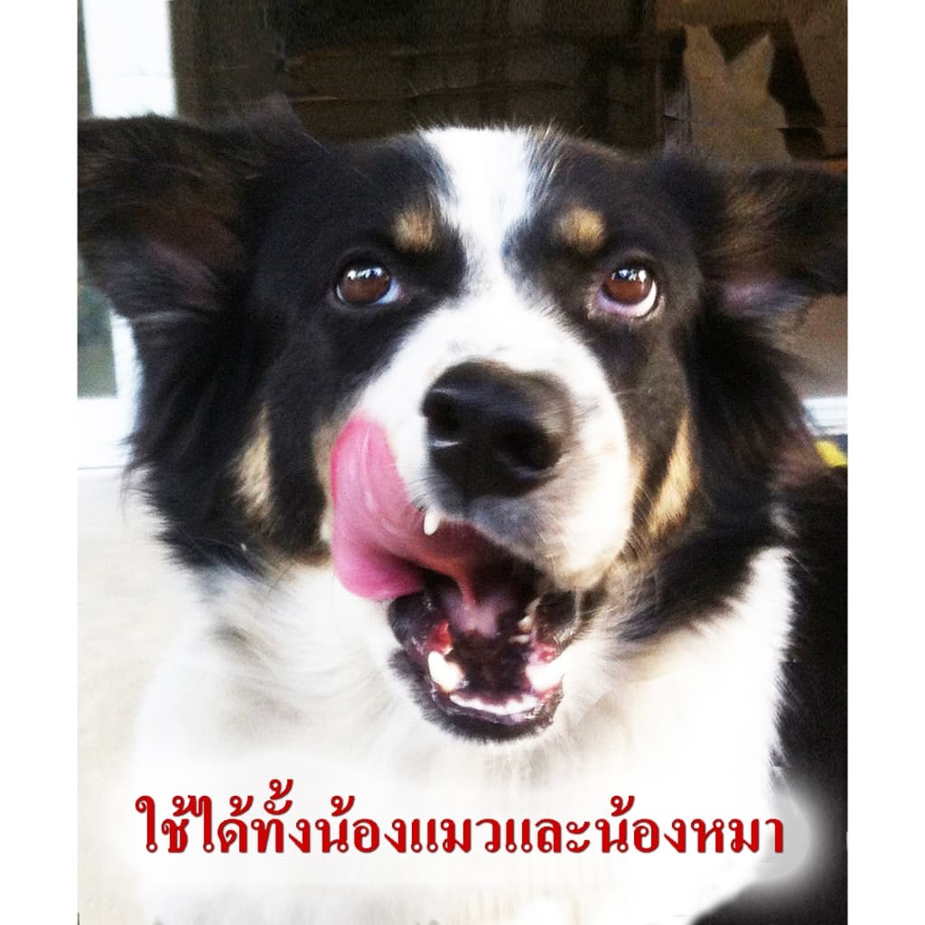 Little Garden : ลิตเติ้ล การ์เด้นท์ 130 ขนาดเล็ก รูปที่ 3