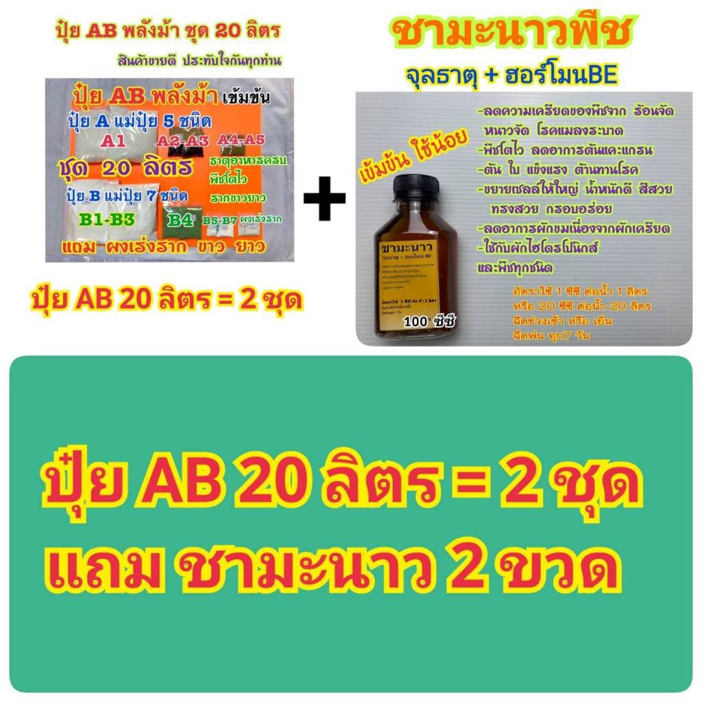 ปุ๋ย AB ชุด 20ลิตร เข้มข้นพลังม้า ผักไฮโดรโปนิกส์ทั้งน้ำวนน้ำนิ่งและพ่นทางใบพืชทุกชนิด แถมผงเร่งรากขาวยาว ปุ๋ยแห้งผสมเอง รูปที่ 2