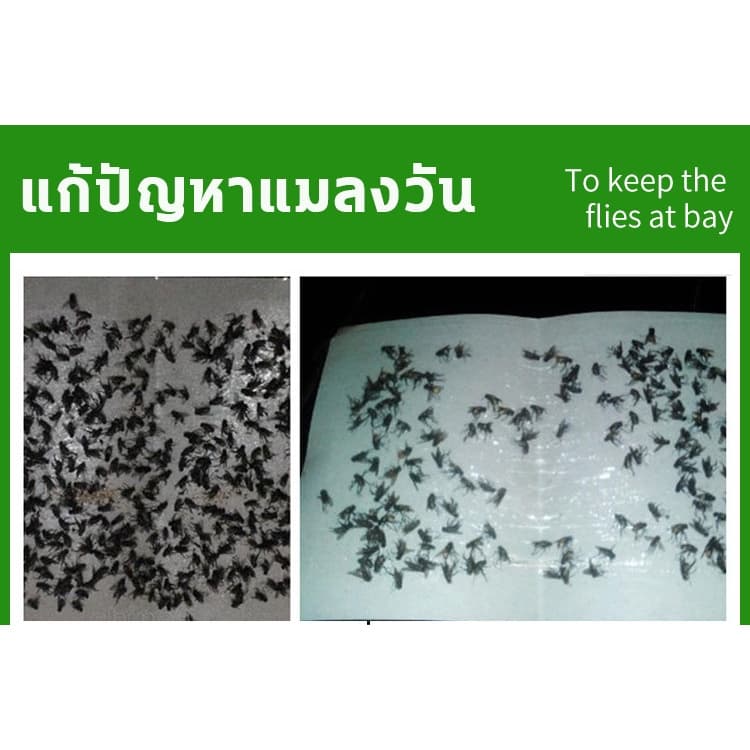 จับแมลงวัน1000ตัวได้ กาวดักแมลงวัน ที่ดักแมลงวัน แผ่นติดแมลงวัน กาวติดแมลงวัน แผ่นดักแมลงวัน ดักแมลงว รูปที่ 5