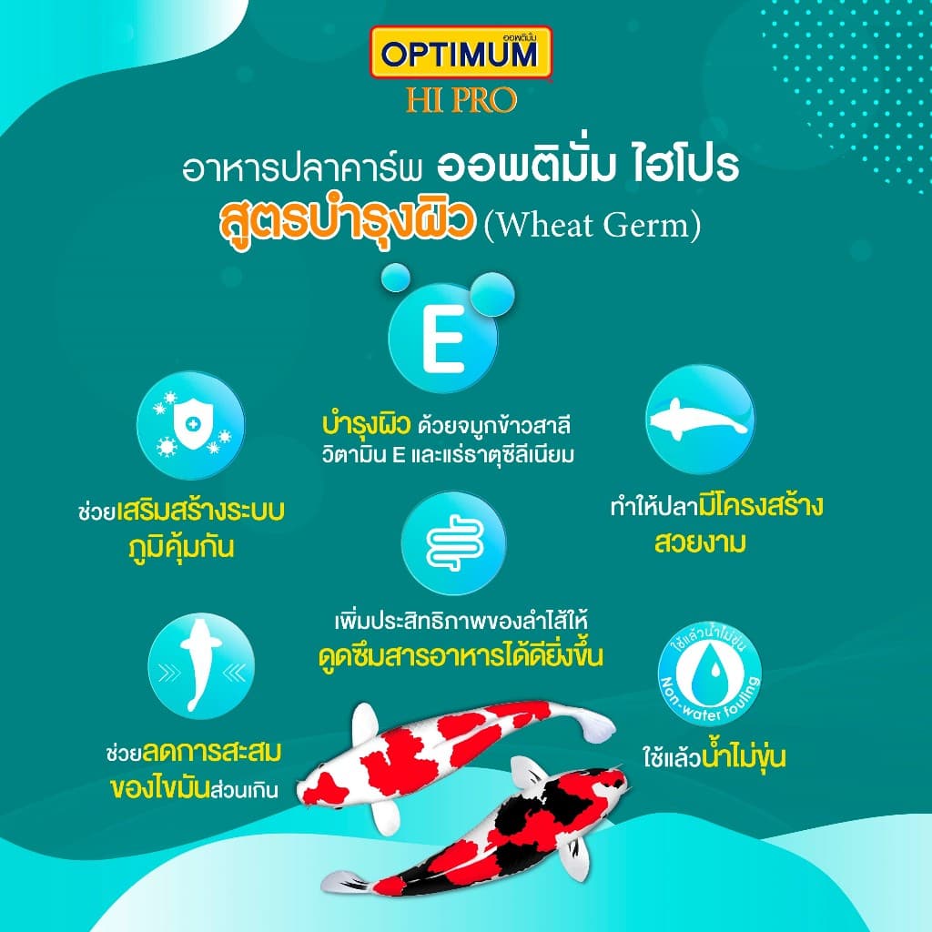 ออพติมั่ม ไฮโปร อาหารปลาคาร์พ Wheat Germ ขนาด 15 กก. รูปที่ 3