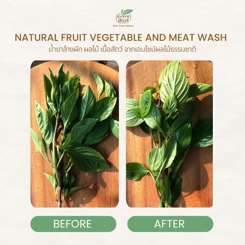 GreenWash Fruit and Vegetable Wash น้ำยาล้างผักผลไม้และเนื้อสัตว์จากเอนไซม์ผลไม้ ขนาดรีฟิลล์1ลิตร รูปที่ 5