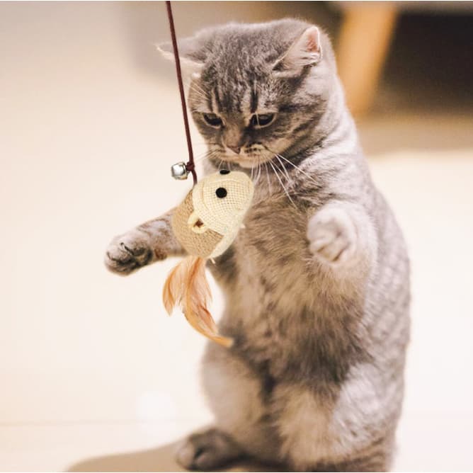 ของเล่นแมว ไม้ตกแมว ล่อแมว ขอเล่นแมว ของเล่นเเมว มีกระดิ่งและฟู่สาย ไว้ล่อแมว คลาดเครียดคลายเหงา รูปที่ 5