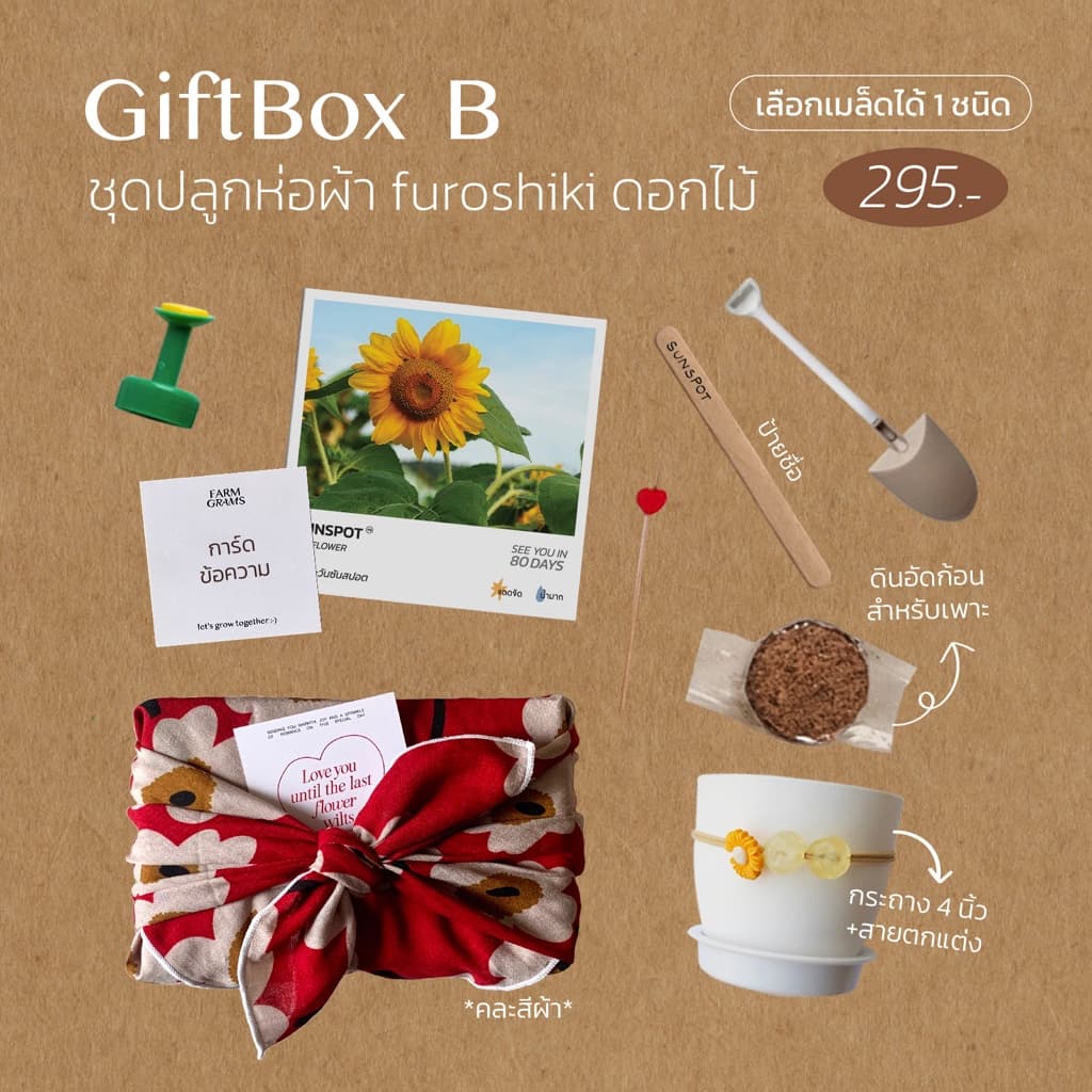 ชุดปลูกของขวัญ GiftBox B กล่องห่อผ้า Furoshiki รูปที่ 1