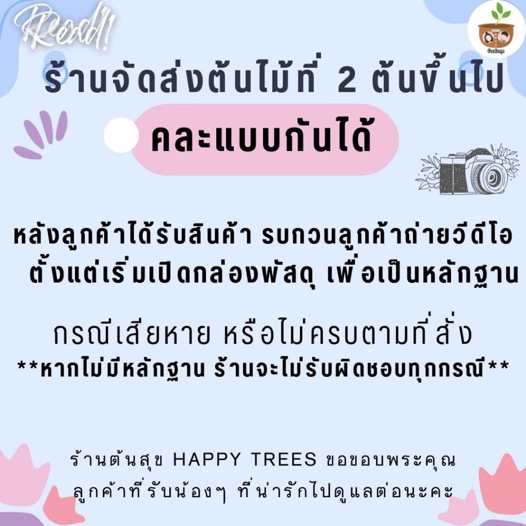 ต้นรับเงินรับทอง จัดส่ง 2 ต้นขึ้นไป คละแบบได้ รูปที่ 4