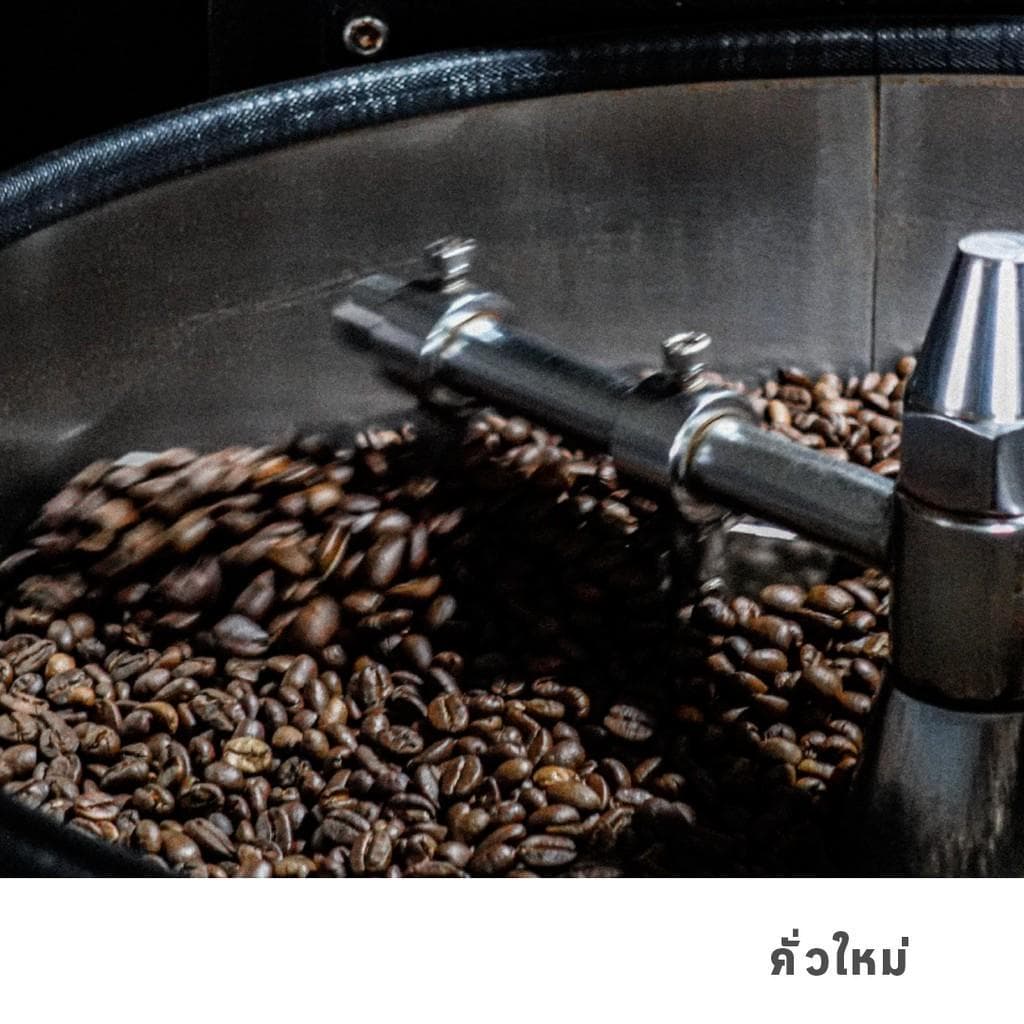 GRAPH | เมล็ดกาแฟ HOUSE BLEND - FINDERMAN รูปที่ 5
