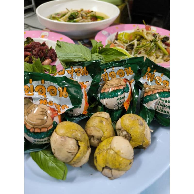 ไข่ลูกระยะ 2 เจ้าดังในติ๊กต๊อกไข่ลูกไก่ทีคนชอบกินเยอะที่สุดไข่อร่อยที่สุดไข่ตัวไข่ลูกเป็ดไข่ลูกไข่ลูกไก่สุกไข่ลูกเป็ดสุก รูปที่ 9