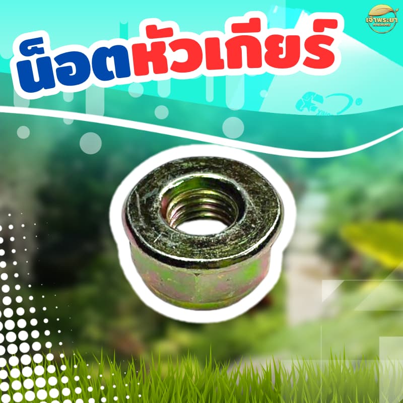 น๊อตหัวเกียร์เครื่องตัดหญ้า เกลียวซ้าย ขนาดมาตราฐาน ทนแรงกระแทกสูง รูปที่ 5