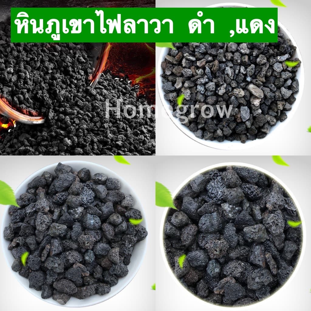 หินภูเขาไฟลาวา หินลาวาแดง หินลาวาแดง | ผสมดินปลูก โรยหน้ากระถาง ใส่บ่อปลา รูปที่ 9