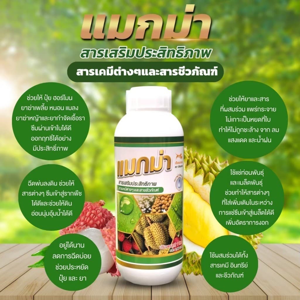 แมกม่าลาวา แมกม่า สารจับใบ ต้านเพลี้ยลดการหลุดร่วง + ปุ๋ยนำ้ลาวา เร่งฟื้นฟูต้น เพิ่มปริมาณผลผลิต รูปที่ 4
