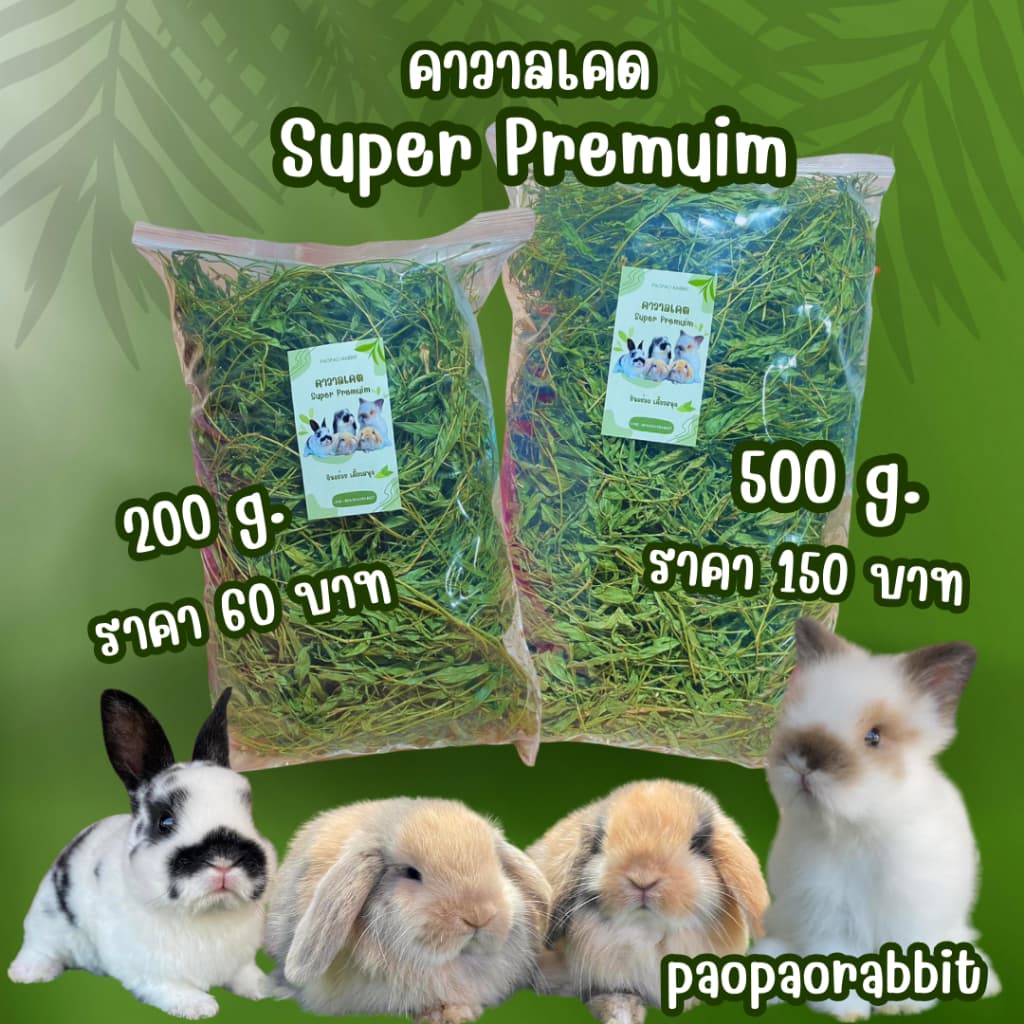 ถั่วคาวาลเคด อาหารกระต่าย 200กรัมและ500กรัม รูปที่ 1
