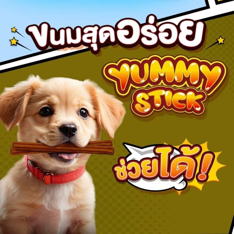 Bingo Star Yummy Stick บิงโกสตาร์ยัมมี่สติ๊ก ขนมสุนัข ขนาด 500 กรัม รูปที่ 8