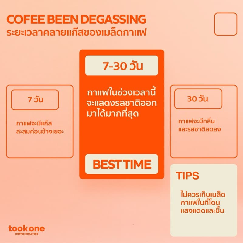 Tookone Coffee Floral Ethiopia Blend เมล็ดกาแฟนอก คั่วกลาง - คั่วอ่อน หอมเบาๆ Light Medium Roast House Blend 200g รูปที่ 3