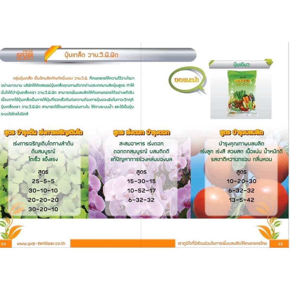 ปุ๋ยเกล็ด สำหรับพ่นทางใบ คุณภาพสูง YVP ครบทุกสูตร ใช้ได้กับพืชทุกชนิด มีบริการเก็บปลายทาง รูปที่ 3