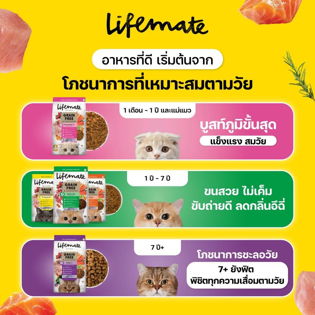 Lifemate อาหารแมว เกรดโฮลิสติก ควบคุมโซเดียม ถนอมไต ครบทุกสูตร พรีเมียม สำหรับแมว1ปีขึ้นไป รูปที่ 2
