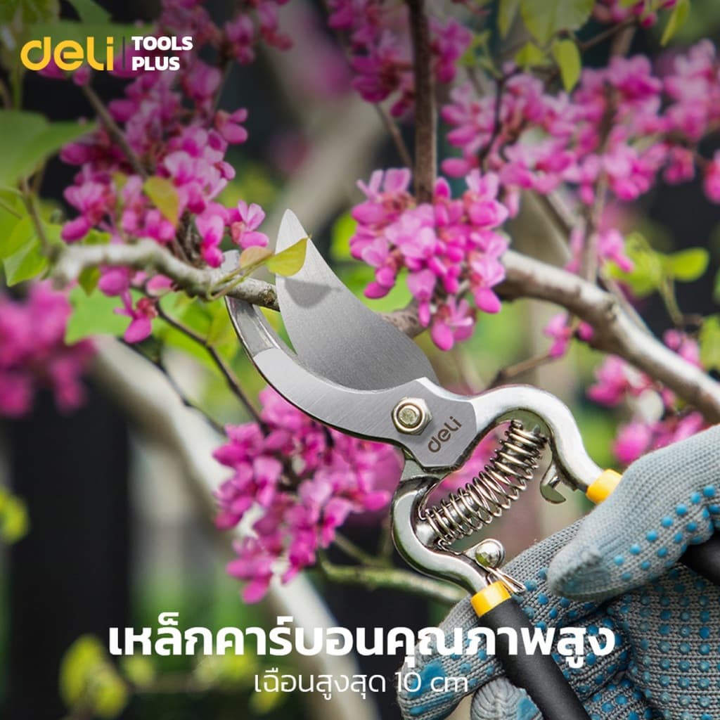 Deli กรรไกรตัดกิ่งไม้ กรรไกรตัดกิ่ง กรรไกรทำสวน 8 นิ้ว ใบมีดคม มีสปริงคืนตัว ทนทาน Pruning Shears รูปที่ 3