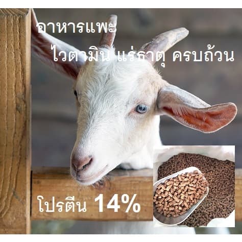 อาหารแพะ-แกะ อัดเม็ด ถุง 1 กิโลกรัม รูปที่ 1
