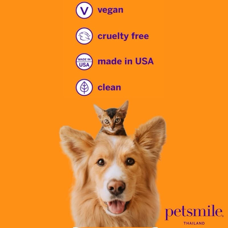 ยาสีฟันสุนัข ยาสีฟันแมว petsmile® - london broil - Size L รูปที่ 5