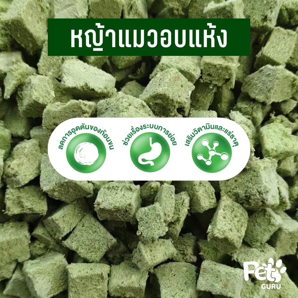 Cat Grass ต้นอ่อนข้าวสาลีอบแห้ง รูปที่ 6