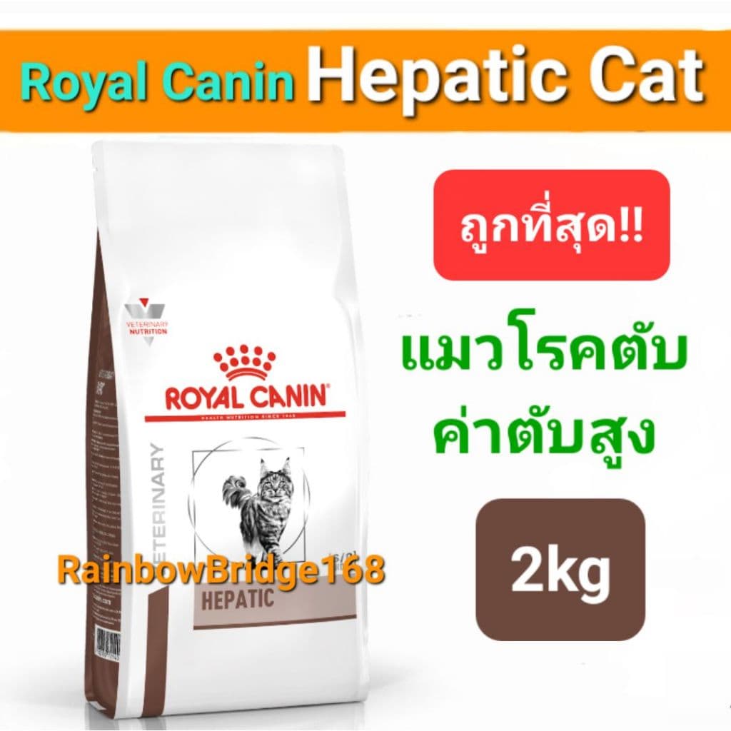 Royal Canin Hepatic 2kg Cat โรยัลคานิน อาหารแมวโรคตับ ถุงขนาด 2 กิโลกรัม รูปที่ 1