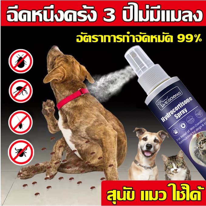 สเปรย์กำจัดเห็บ น้ำยากำจัดเห็บหมัด สเปรย์กำจัดเห็บหมัด ยาฆ่าเห็บหมัด สูตรพืช กำจัดเห็บหมัดสุนัข บรรจุ 120ml รูปที่ 1