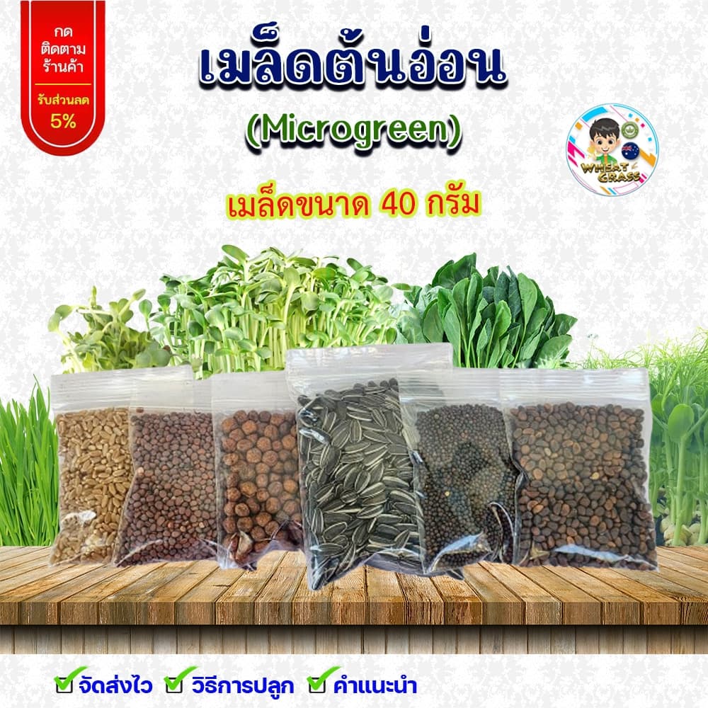 เมล็ดต้นอ่อนไมโครกรีน 40 กรัม ทานตะวัน ผักบุ้งเรียวไผ่ ไควาเระ โตเหมี่ยว คะน้า รูปที่ 1