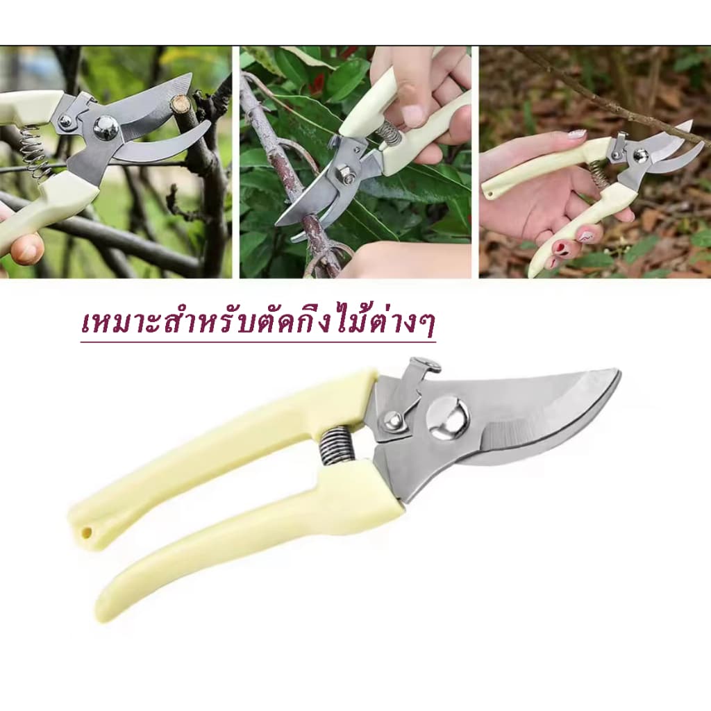 กรรไกรตัดกิ่งไม้ปากโค้งและปากตรง กรรไกรทำสวน กรรไกรแต่งกิ่ง แบบสเตนเลส ด้ามPEอย่างดี รูปที่ 3