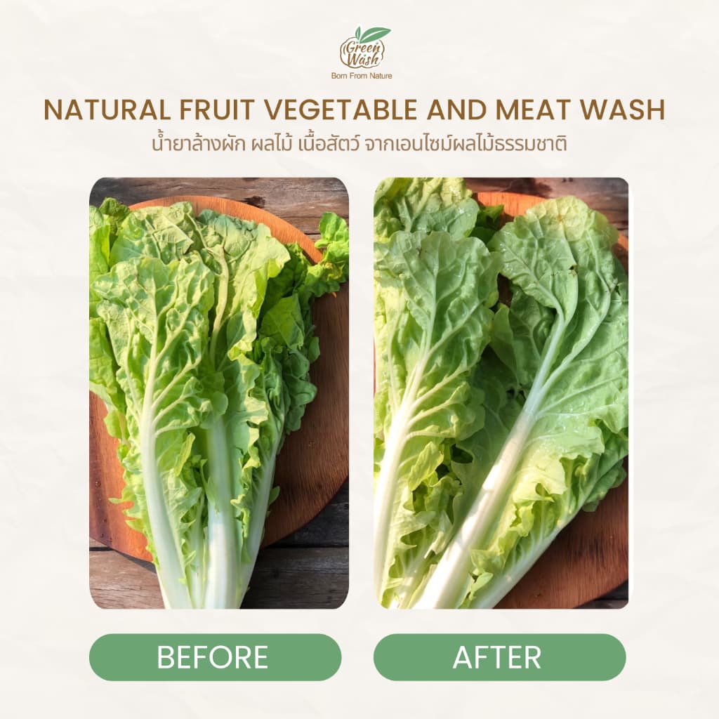 GreenWash Fruit and Vegetable Wash น้ำยาล้างผักผลไม้และเนื้อสัตว์จากเอนไซม์ผลไม้ ขนาดรีฟิลล์1ลิตร รูปที่ 4