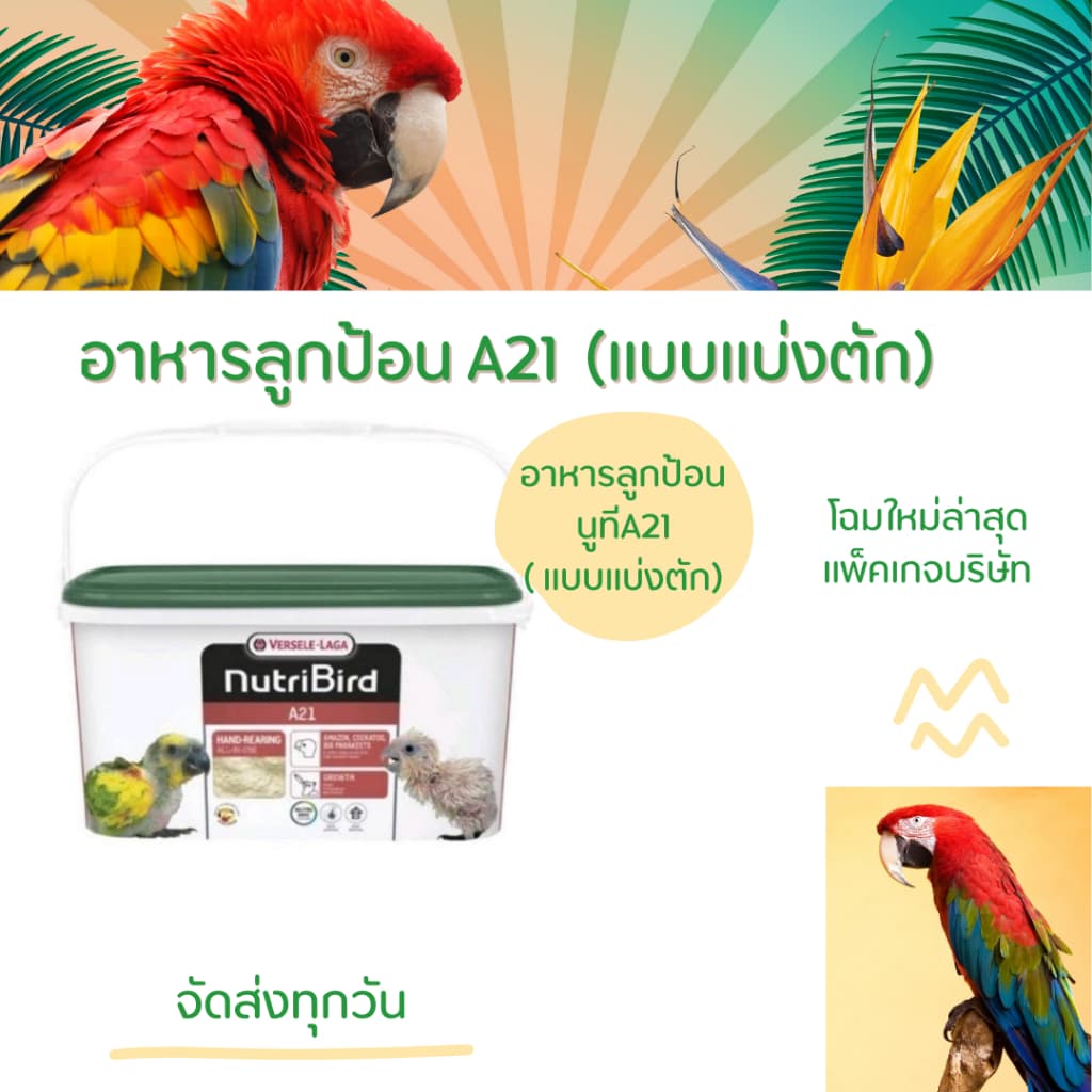 อาหารลูกนก nutribird A21 สำหรับลูกนกทุกสายพันธุ์ ฝาเขียว รูปที่ 2