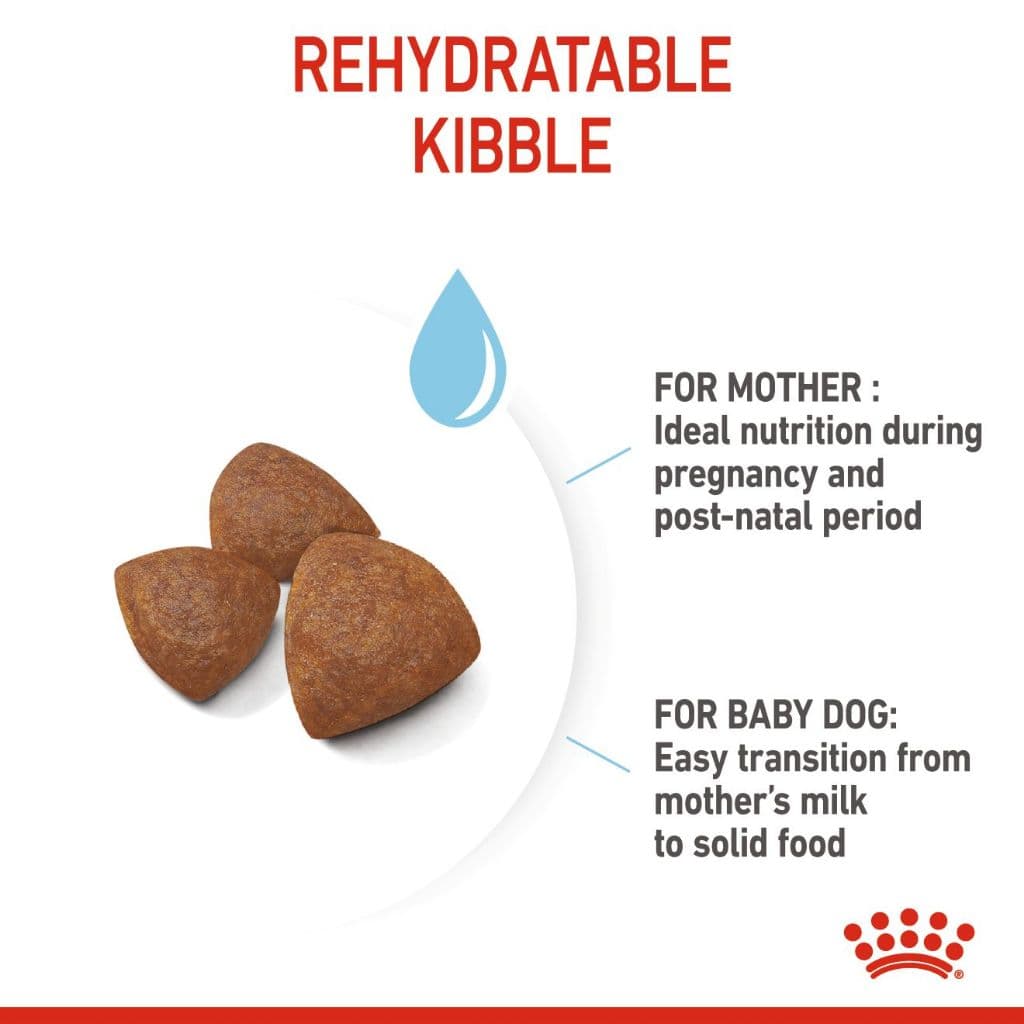 Royal Canin Mini Starter 3kg สำหรับ แม่สุนัข ตั้งท้อง และ ลูกสุนัข พันธุ์เล็ก 3 kg / 1kg. มี 2 ขนาด รูปที่ 3