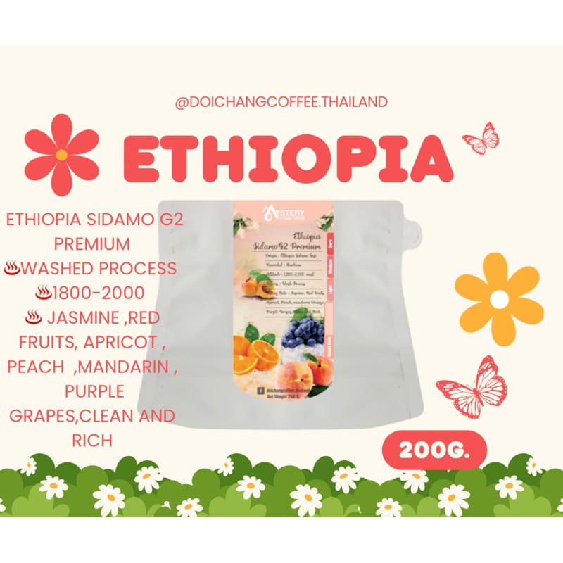 เมล็ดกาแฟ Ethiopia sidamo G2 premium รูปที่ 1