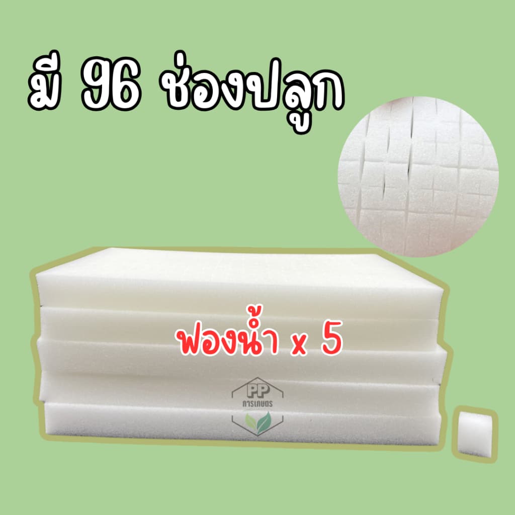 ฟองน้ำเพาะเมล็ด ฟองน้ำเพาะผักไฮโดรโปนิกส์ ผักสลัด ** 96 ช่องปลูก** เนื้อละเอียด แบบมีขอบ รูปที่ 2