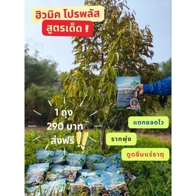 ฮิวมิคโปรพลัส3กก บำรุงดินและพืช รากเดิน ใบเขียว ยอดพุ่ง ลำต้นขยาย รูปที่ 5