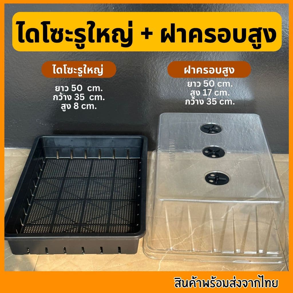 ชุดเพาะเมล็ด เซ็ตถาดไดโซะ ถาดทึบ ถาดรู ชุดเพาะชำ ฝาครอบ ถูกที่สุด รูปที่ 3