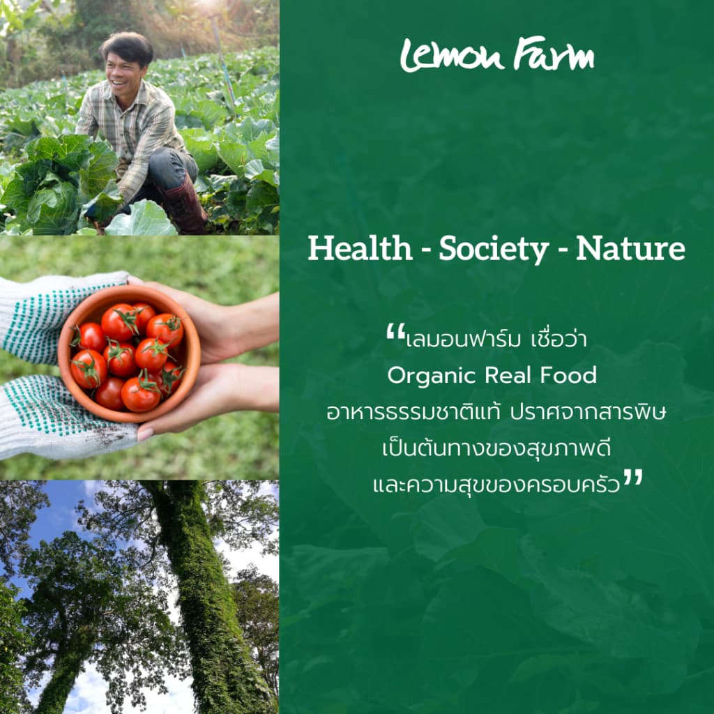 เมล็ดฟักทองดิบ Organic 100 g Lemon Farm รูปที่ 3