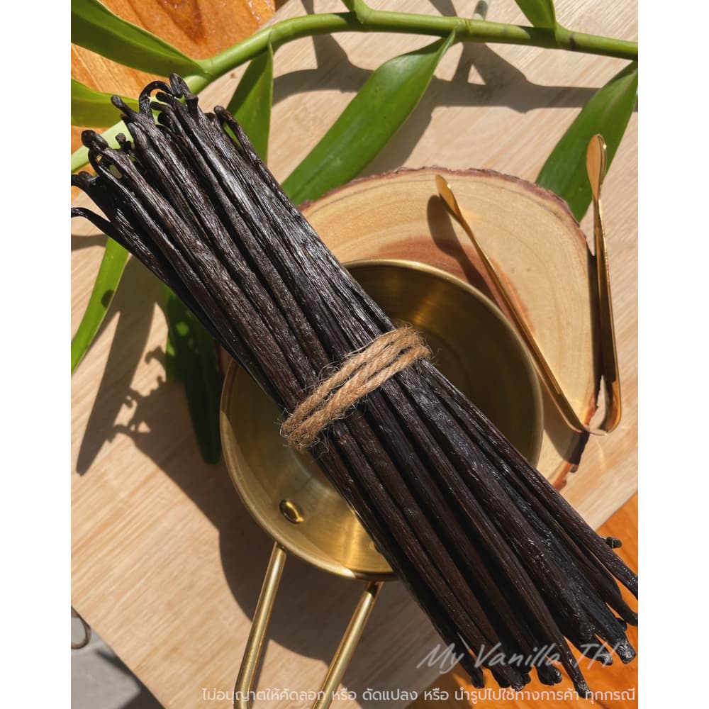 ฝักวานิลลาสายพันธุ์ Planifolia **เกรดA 18-22cm** My Vanilla TH รูปที่ 1