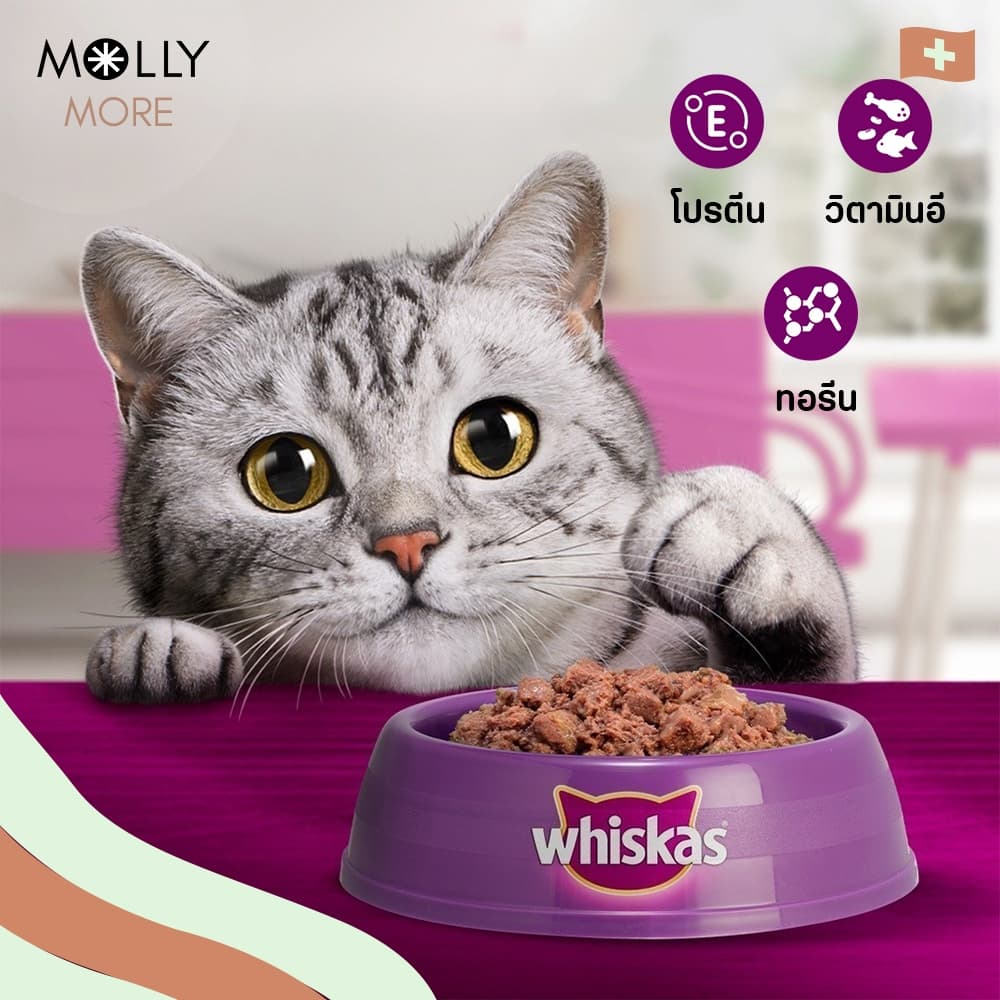 MOLLY WHISKAS อาหารแมว ชนิดเปียก แบบซอง อาหารเปียกแมว วิสกัส เพาช์ รูปที่ 2