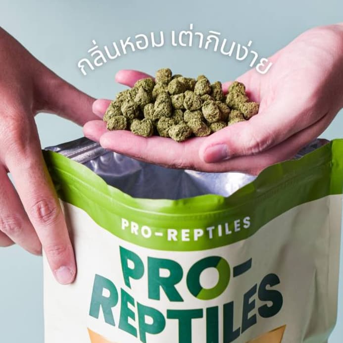 อาหารเต่า Pro-Reptiles เกรด Premium มี 3 สูตร ขนาด 1 กิโลกรัม และ 400กรัม รูปที่ 4