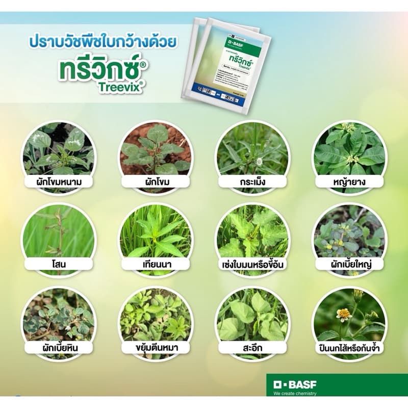 ทรีวิกซ์ ยกกล่อง สารคุมฆ่าวัชพืชคุณภาพสูง byBasf กำจัดวัชพืชใบกว้างยกกล่อง รูปที่ 4
