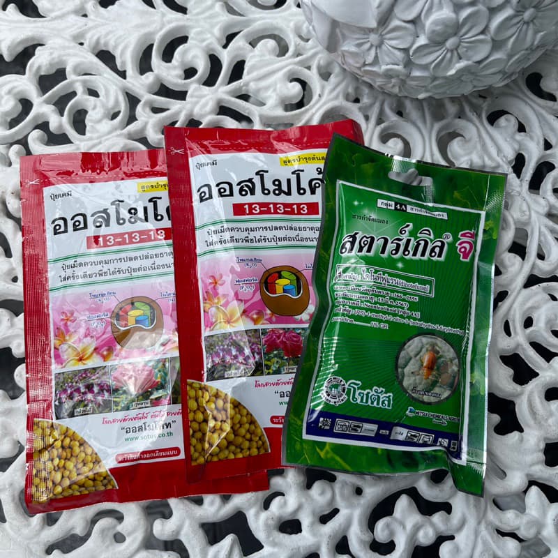 ปุ๋ยออสโมโค้ด ปุ๋ยละลายช้า 13-13-13/ปุ๋ยบำรุงดอก 12-25-6+mg1% สตาร์เกิลจี รองก้นหลุมหรือโรยรอบโคนต้น รูปที่ 7