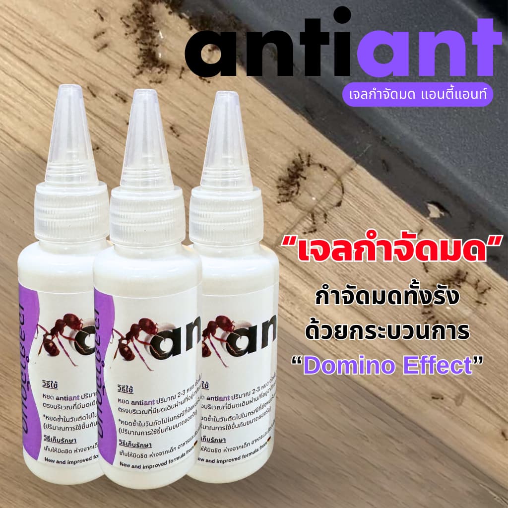 เจลกำจัดมด antiant ขนาด 50 กรัม รูปที่ 2