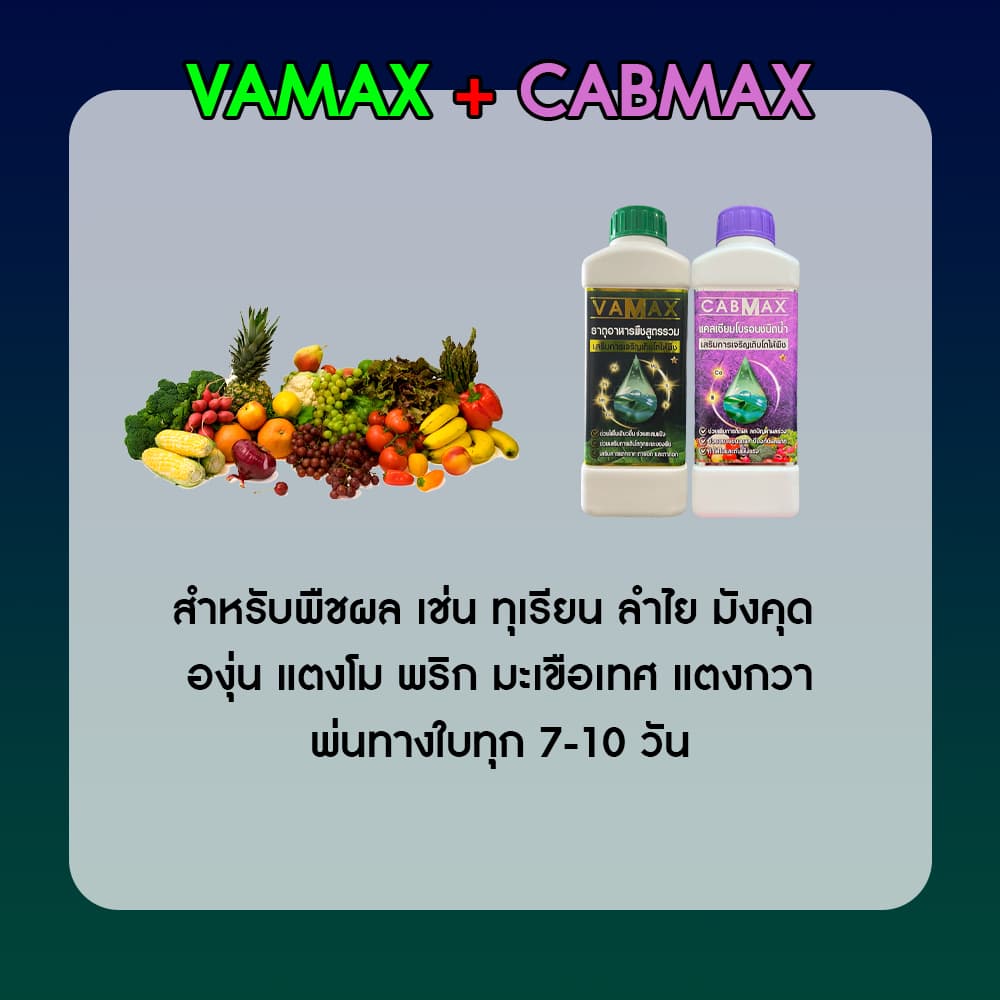 CABMAX แคลเซียมและโบรอนเข้มข้น + VAMAX ธาตุอาหารรวมเข้มข้น 2 ลิตร รูปที่ 7